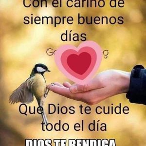 Meet your Posher, Clara